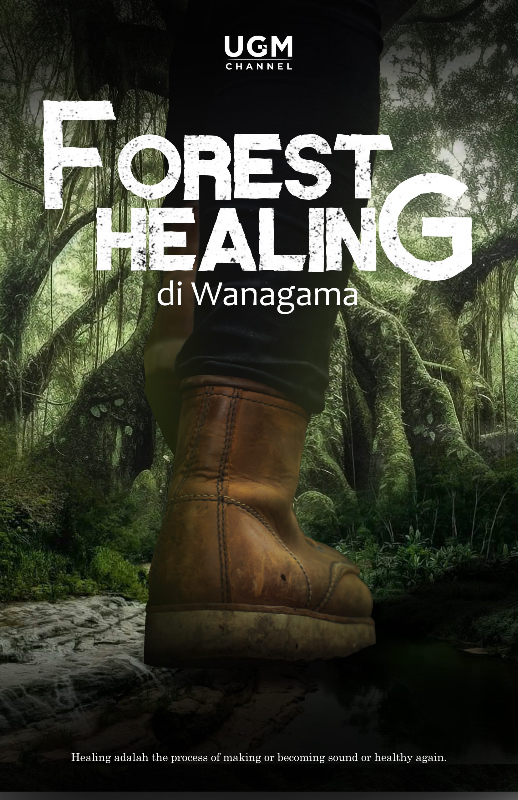 Forest Healing