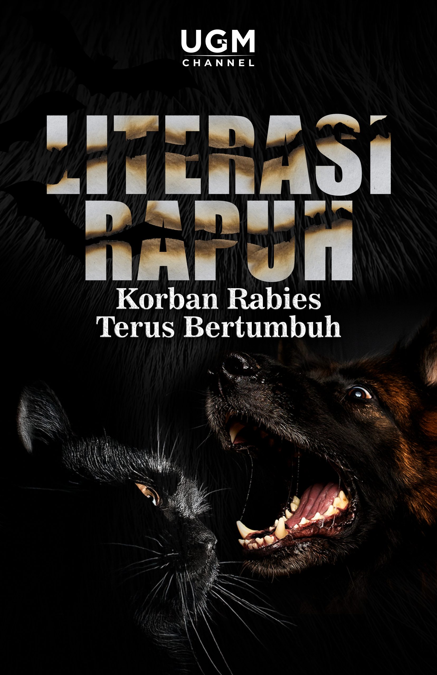 Literasi Rapuh, Korban Rabies Bertumbuh