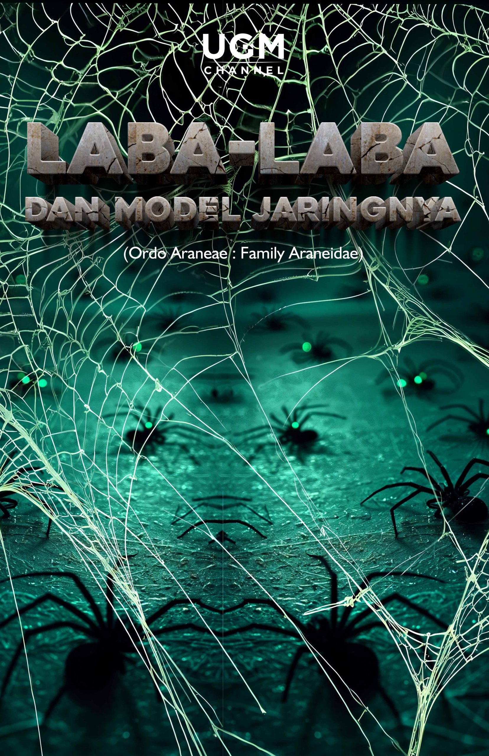 Laba-Laba dan Model Jaringnya